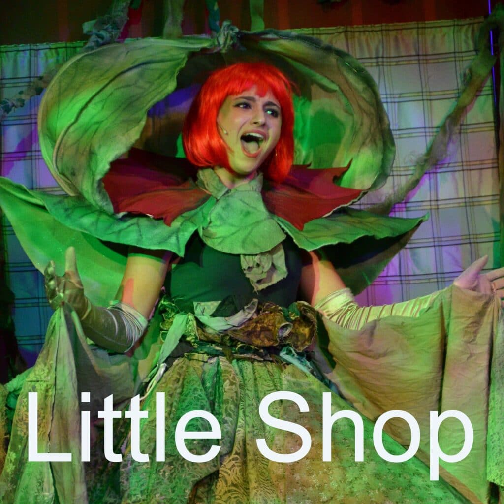 Teen cast acting in Little Shop of Horrors at Long Lake Camp.