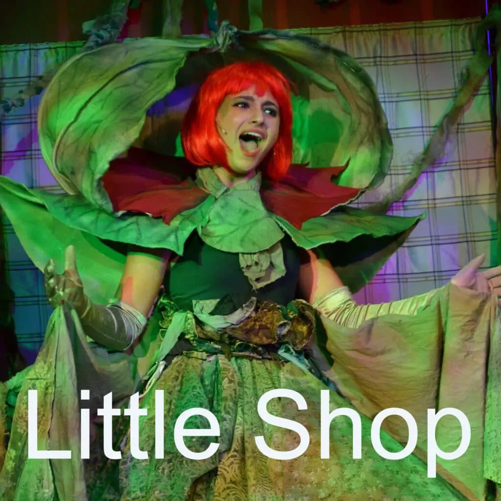 Teen cast acting in Little Shop of Horrors at Long Lake Camp.