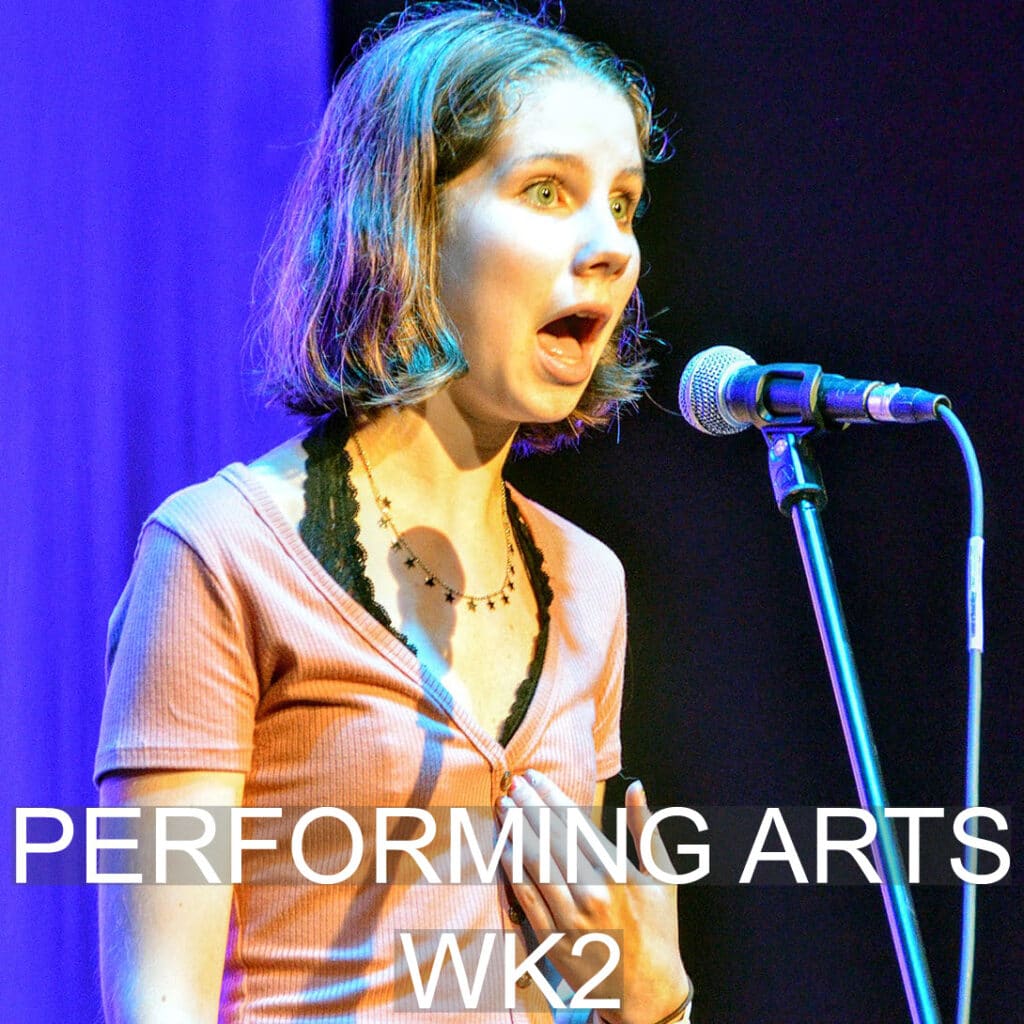 Solo performer singing under spotlight.
