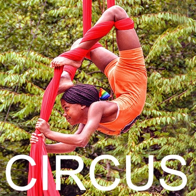 Acrobats performing a balancing act during the circus show.