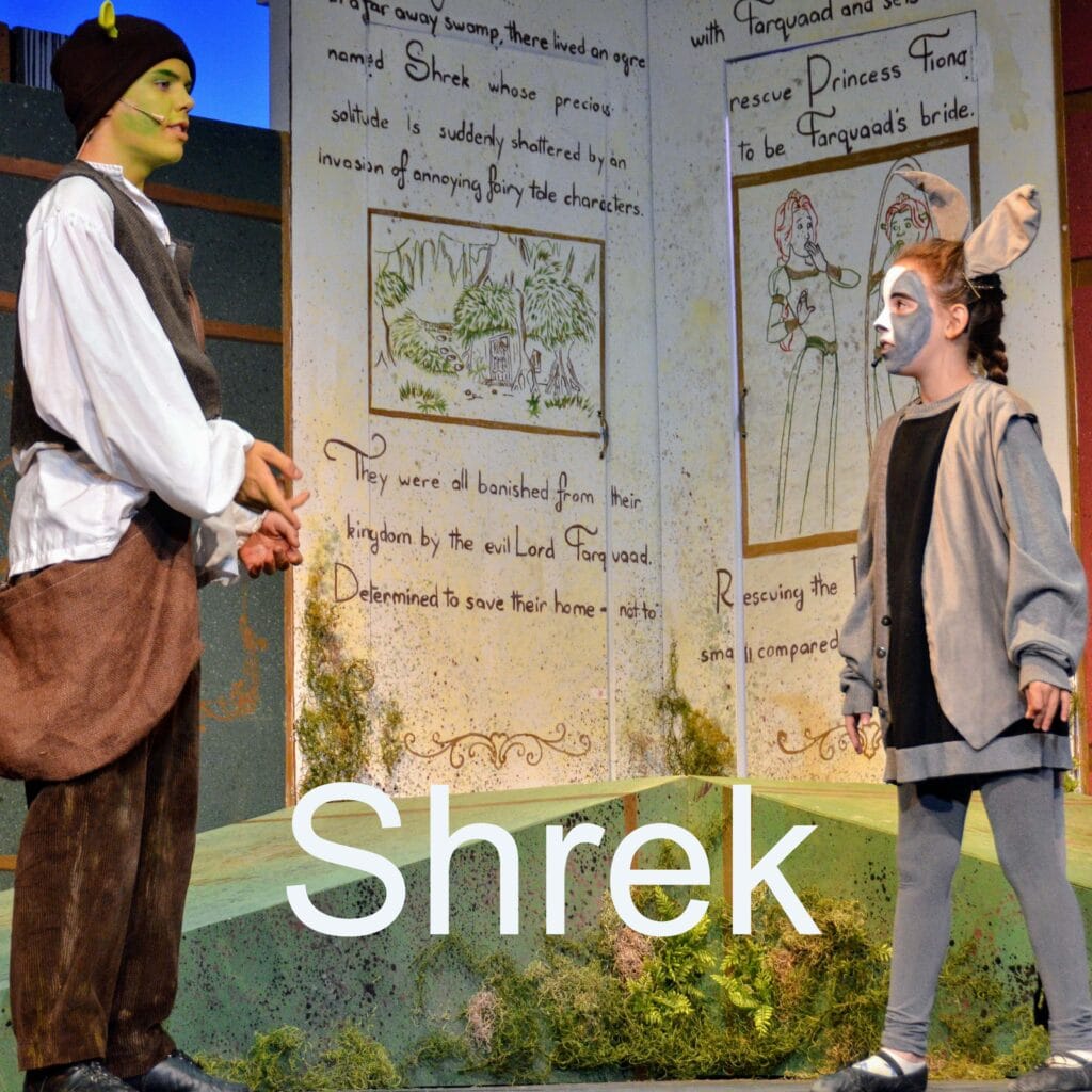 Shrek performance by campers at Long Lake Camp for the Arts.”