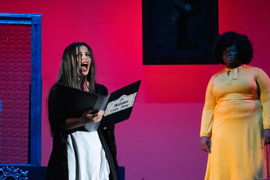 Addams Family cast onstage at Long Lake Camp for the Arts