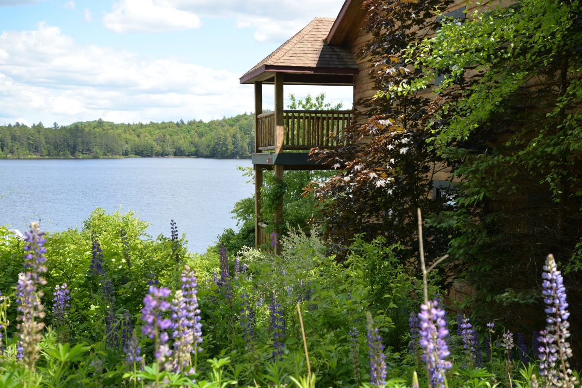 Lakeside cabin with a wooden balcony overlooking calm water, surrounded by green trees and blooming wildflowers.